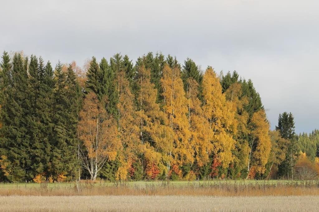 Albertiina Kurikka Buitenkant foto