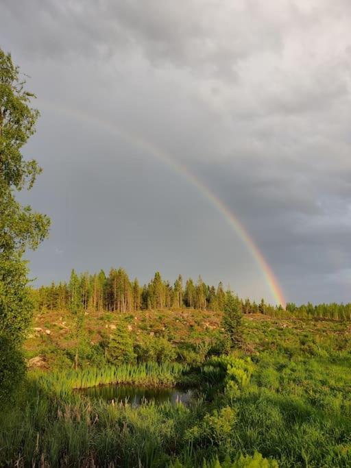 Albertiina Kurikka Buitenkant foto