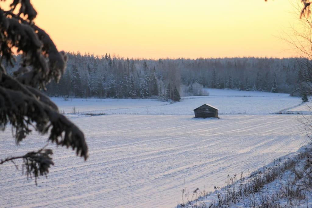 Albertiina Kurikka Buitenkant foto